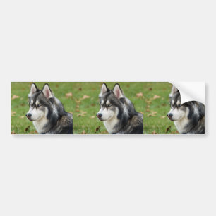 Autocollant De Voiture Husky