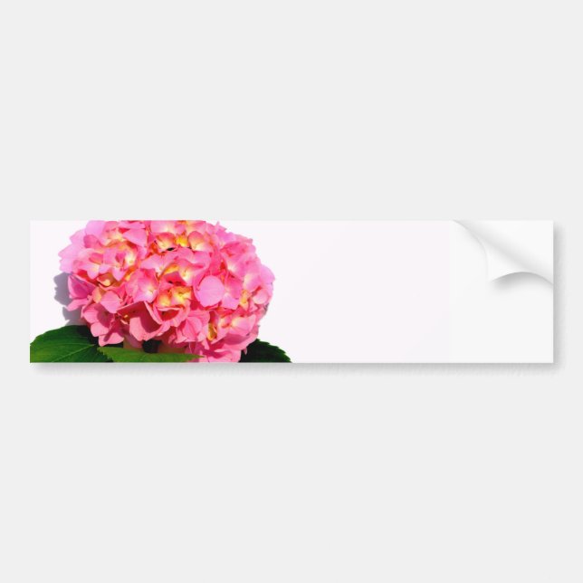 Autocollant De Voiture Hydrangée rose fleur rose rose rose floral (Devant)