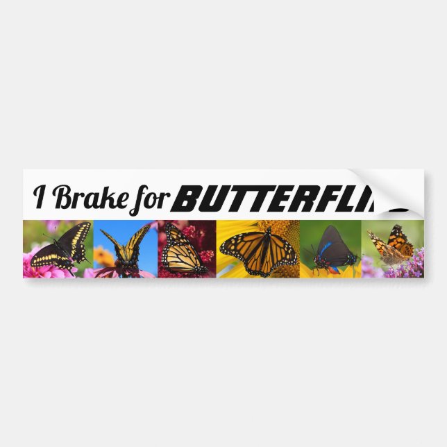 Autocollant De Voiture I Brake for Butterflies (Devant)