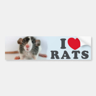 Autocollant De Voiture I love (blazed) Rats