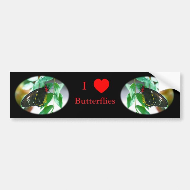 Autocollant De Voiture I Love Butterflies Nature (Devant)