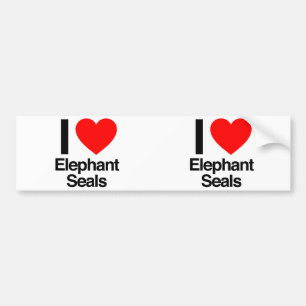 Autocollant De Voiture i love elephant seals