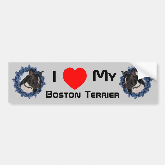 Autocollant De Voiture I Love Heart My Boston Terrier (Devant)