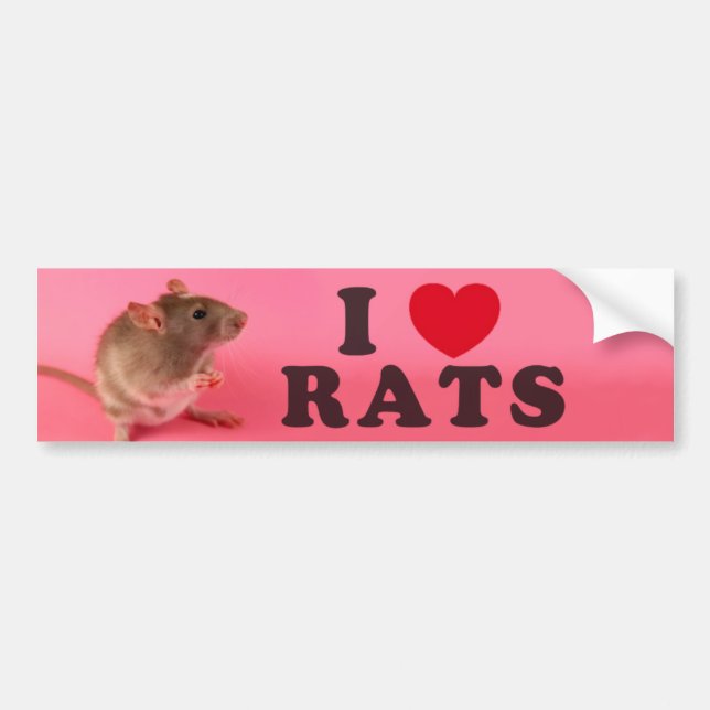 Autocollant De Voiture I love Rats (in pink) (Devant)