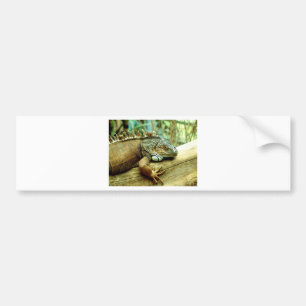 Autocollant De Voiture Iguane