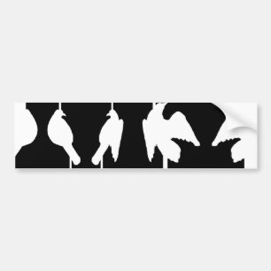 Autocollant De Voiture Illusion optique avec des urnes et des oiseaux