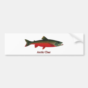 Autocollant De Voiture Illustration de char arctique