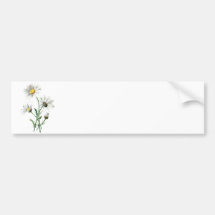 Autocollant De Voiture Illustration de fleur sauvage de marguerites du