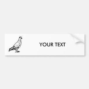 Autocollant De Voiture Illustration de pigeon