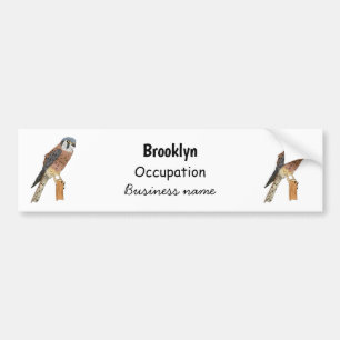 Autocollant De Voiture Illustration d'oiseau américain Kestrel