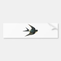 Illustration vintage de l'oiseau d'hirondelle