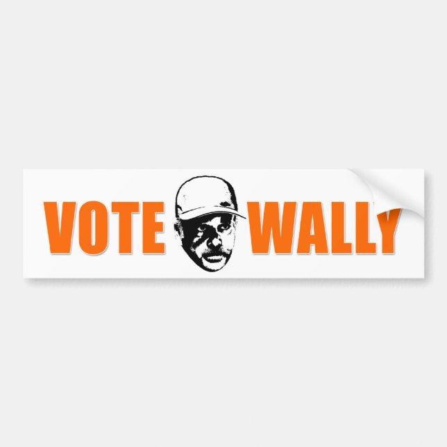 Autocollant De Voiture Imbécile Bumpersticker de vote (Devant)