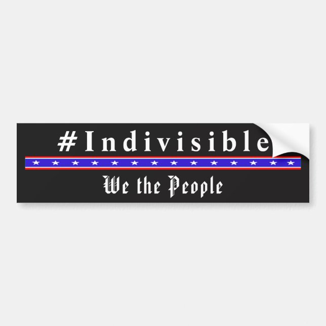 Autocollant De Voiture INDIVISIBLE - Nous Le Peuple Sticker (Devant)