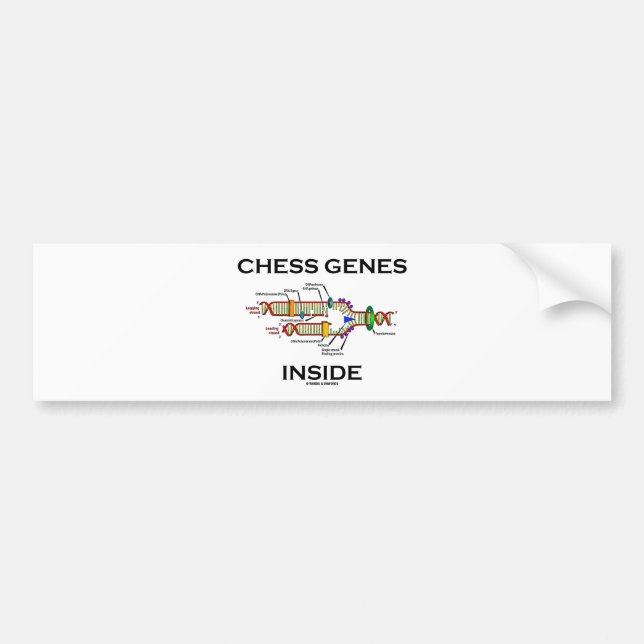 Autocollant De Voiture Intérieur de gènes d'échecs (reproduction d'ADN) (Devant)