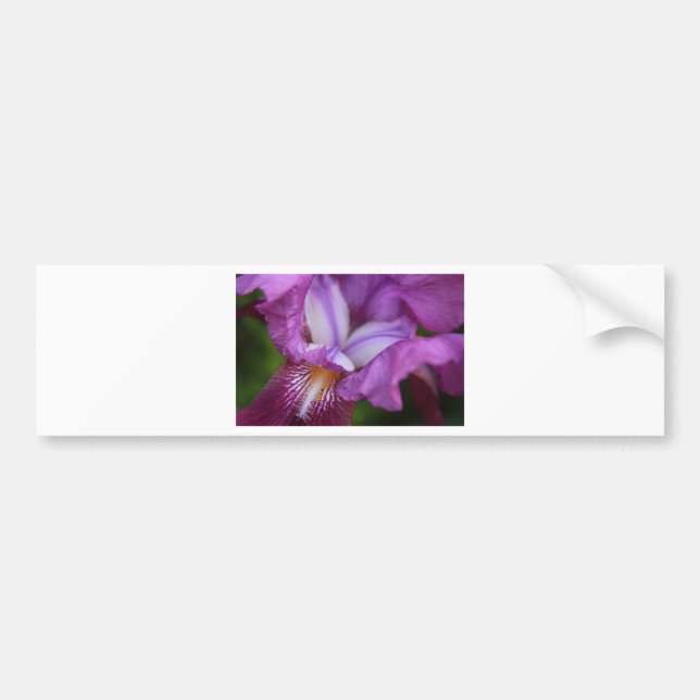 Autocollant De Voiture Iris allemands à poils (Devant)