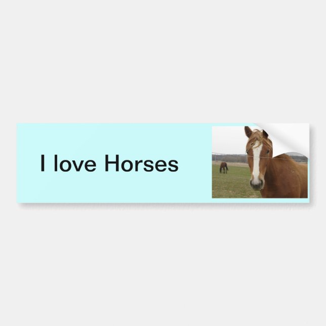 Autocollant De Voiture J'adore Sticker de pare-chocs pour chevaux (Devant)