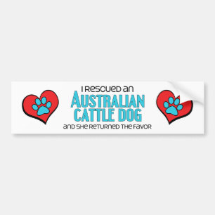 Autocollant De Voiture J'ai secouru un chien australien de bétail (le