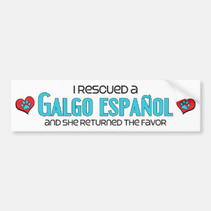 Autocollant De Voiture J'ai secouru un Galgo Español (le chien femelle)