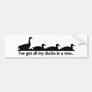 Autocollant De Voiture J'ai tous mes canards en rang...