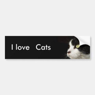 Autocollant De Voiture J'aime, adhésif pour pare-chocs de chats
