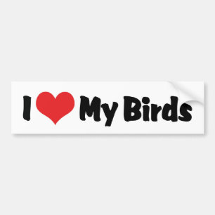 Autocollant De Voiture J'aime cœur Mes Oiseaux - Amoureux des Oiseaux