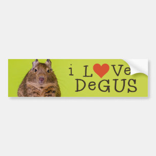 Autocollant De Voiture J'aime Degus