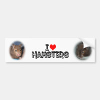 J'aime des hamsters