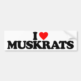 AUTOCOLLANT DE VOITURE J'AIME DES RATS MUSQUÉS