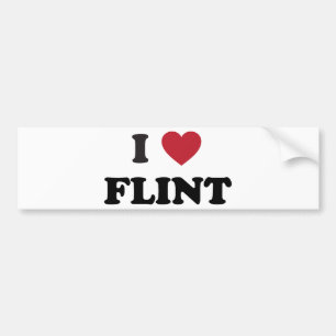 Autocollant De Voiture J'aime le silex Michigan
