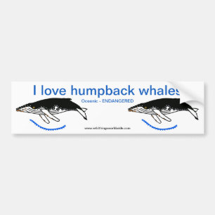 Autocollant De Voiture J'aime les baleines à bosse - Animaux en voie de d
