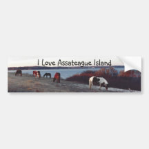 J'aime l'île d'Assateague - adhésif pour