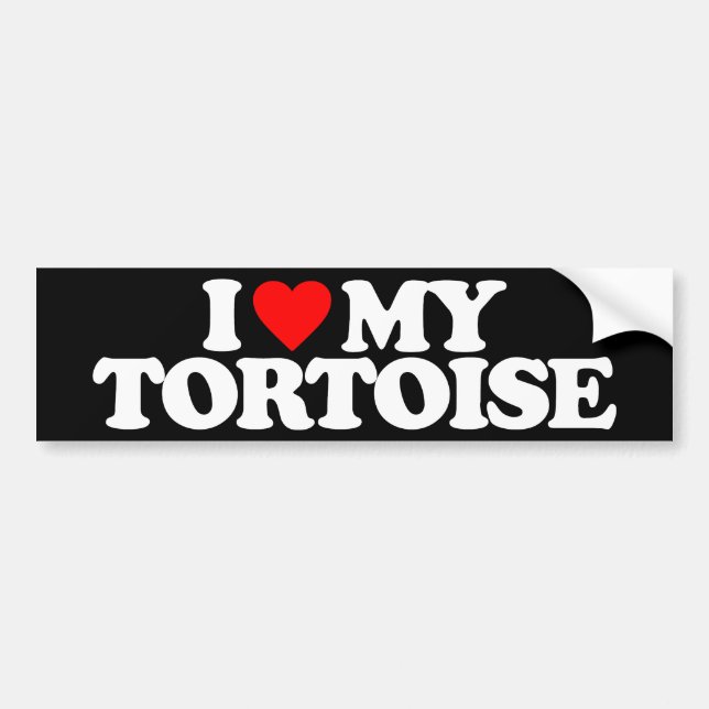 AUTOCOLLANT DE VOITURE J'AIME MA TORTUE (Devant)