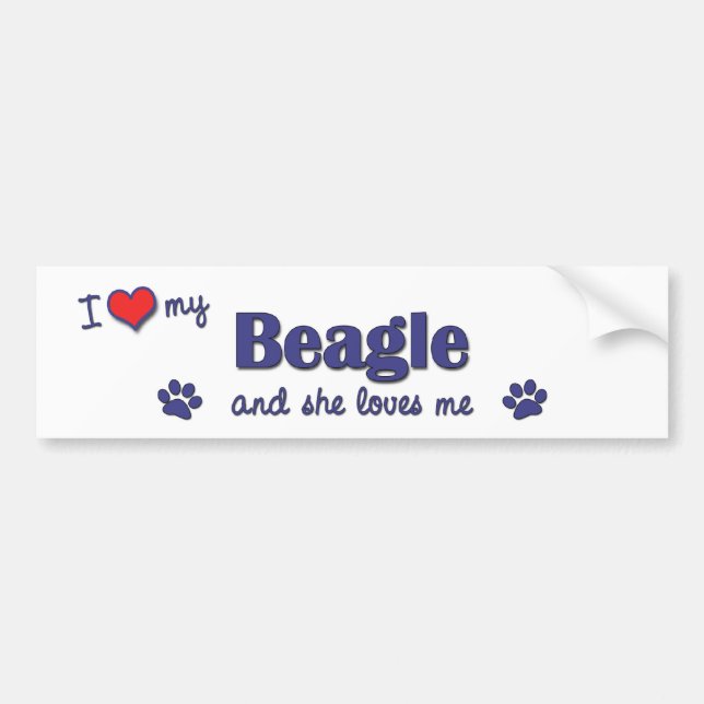 Autocollant De Voiture J'aime mon beagle (le chien femelle) (Devant)