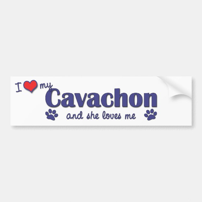 Autocollant De Voiture J'aime mon Cavachon (le chien femelle) (Devant)