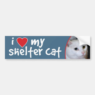 Autocollant De Voiture J'aime mon chat Autocollant-Tout-Blanc de butoir