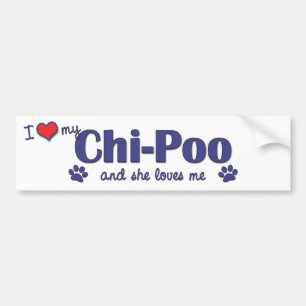 Autocollant De Voiture J'aime mon chi-Poo (le chien femelle)