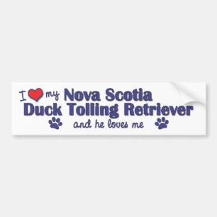 Autocollant De Voiture J'aime mon chien d'arrêt de tintement de canard d