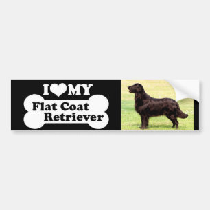 Autocollant De Voiture J'aime mon chien d'arrêt enduit plat