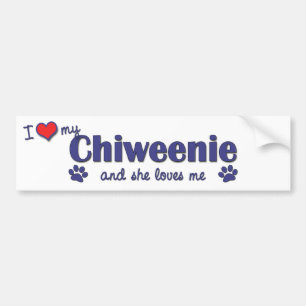 Autocollant De Voiture J'aime mon Chiweenie (le chien femelle)