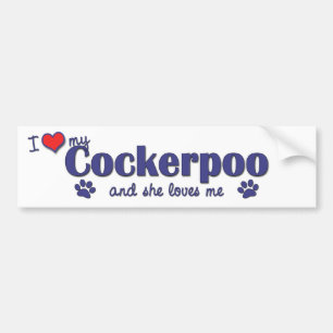 Autocollant De Voiture J'aime mon Cockerpoo (le chien femelle)