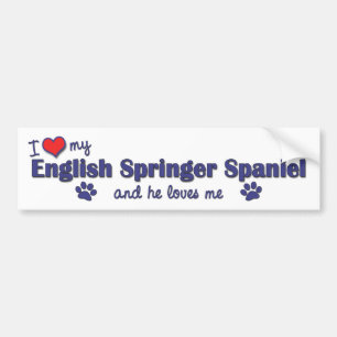Autocollant De Voiture J'aime mon épagneul de springer anglais (le chien