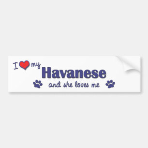 Autocollant De Voiture J'aime mon Havanese (le chien femelle)