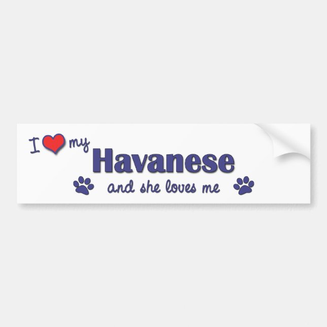 Autocollant De Voiture J'aime mon Havanese (le chien femelle) (Devant)