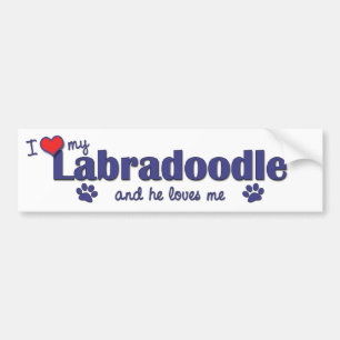 Autocollant De Voiture J'aime mon Labradoodle (le chien masculin)