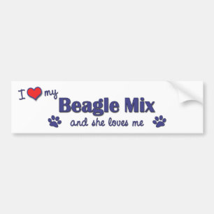 Autocollant De Voiture J'aime mon mélange de beagle (le chien femelle)