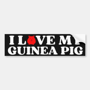 Autocollant De Voiture j'aime mon PIG GUINEA