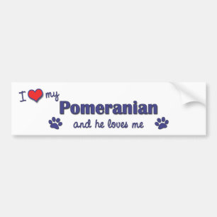Autocollant De Voiture J'aime mon Pomeranian (le chien masculin)