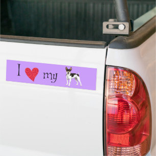 Autocollant De Voiture J'aime mon Rat Terrier