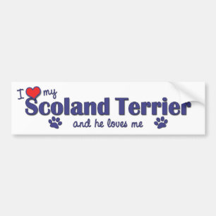Autocollant De Voiture J'aime mon Scoland Terrier (le chien masculin)