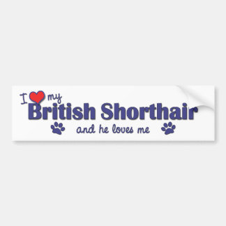 Autocollant De Voiture J'aime mon Shorthair britannique (le chat